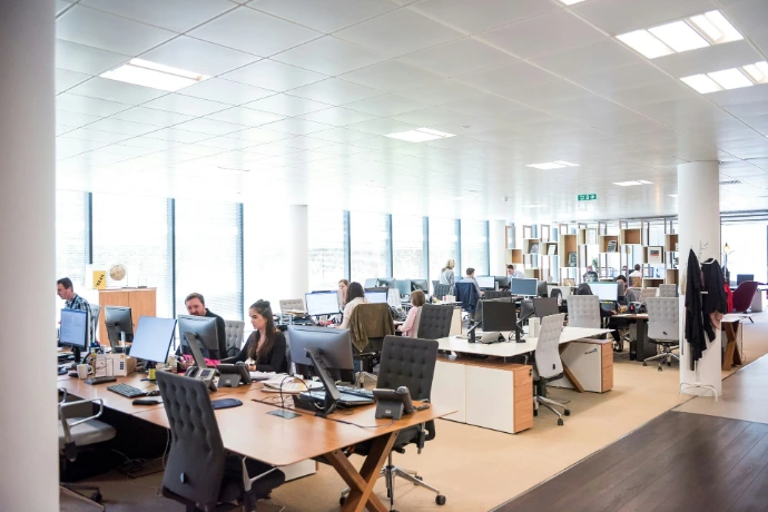 Staff working in an office environment